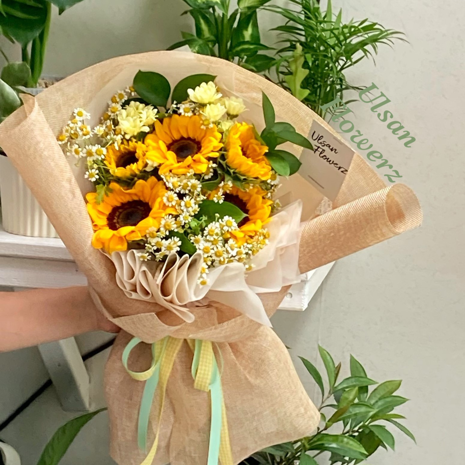 �󼼳��뺸��